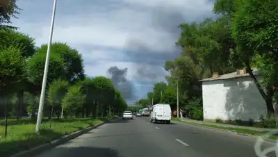 zakon.kz, фото - Новости Zakon.kz от 29.05.2020 15:19