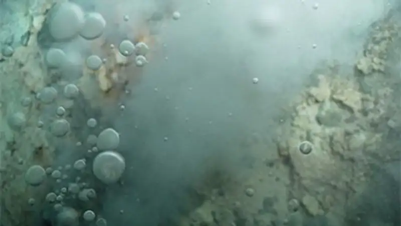 Ученые раскрыли тайну предка всех живых организмов