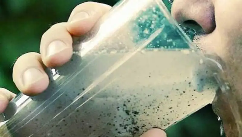 Двадцать лет сельчане пьют воду из одной реки со скотом