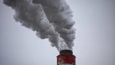 Pixabay, фото - Новости Zakon.kz от 27.12.2020 17:42