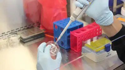 исследования, фото - Новости Zakon.kz от 23.12.2021 16:00