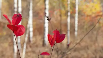 Синоптики рассказали, где в Казахстане ожидается погода без осадков в Казахстане 4 октября , фото - Новости Zakon.kz от 03.10.2023 15:18