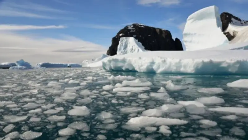 Аномально высокая погода зафиксирована в Антарктиде