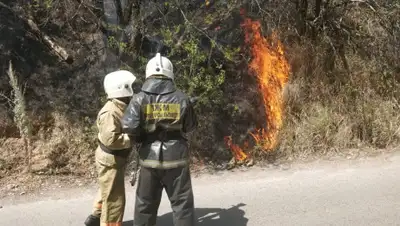 КЧС МВД РК, фото - Новости Zakon.kz от 12.08.2019 16:43