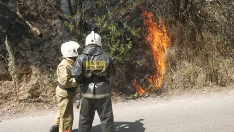 Третий пожар на Кок-Тобе потушили
