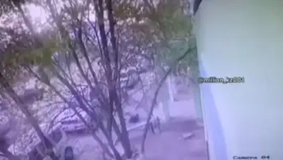 кадр из видео, фото - Новости Zakon.kz от 20.04.2019 06:42