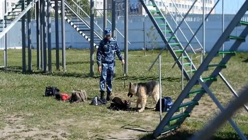 В СКО служебные собаки помогли раскрыть 246 преступлений
