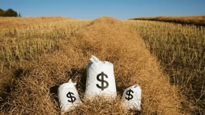 МСХ планирует автоматизировать процесс выдачи субсидий аграриям РК