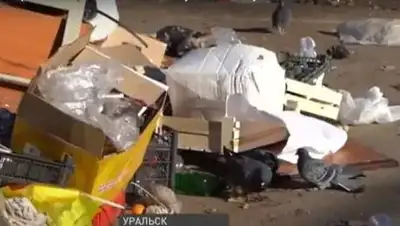 Кадр из видео, фото - Новости Zakon.kz от 25.11.2020 00:08