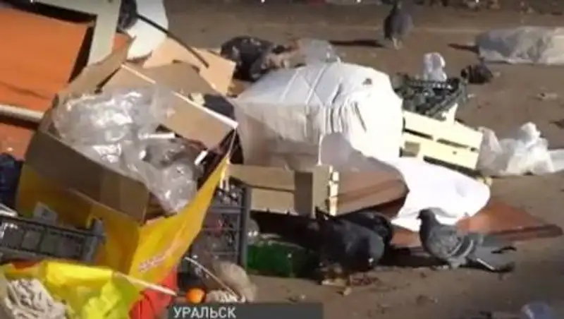 Жители Уральска жалуются на вонь и крыс