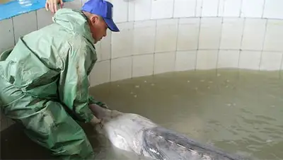 Zakon.kz, фото - Новости Zakon.kz от 16.04.2014 22:45