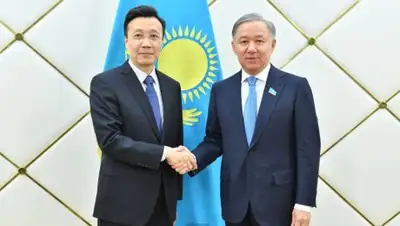 пресс-служба Мажилиса, фото - Новости Zakon.kz от 08.01.2019 13:12