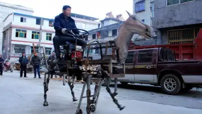 Zakon.kz, фото - Новости Zakon.kz от 20.01.2015 15:52