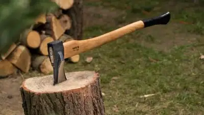 yato.com, фото - Новости Zakon.kz от 03.07.2021 10:24