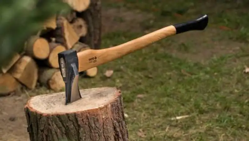 Отец убил родного сына топором в Костанае