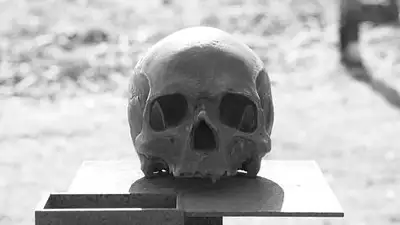 кости, фото - Новости Zakon.kz от 25.04.2023 22:11