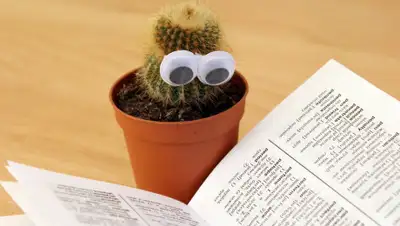 pixabay.com, фото - Новости Zakon.kz от 26.03.2019 22:13