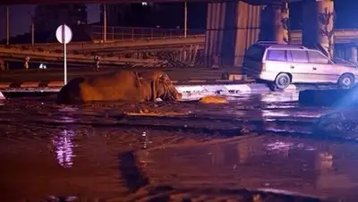 Zakon.kz, фото - Новости Zakon.kz от 14.06.2015 19:11