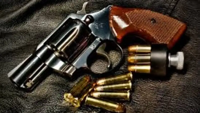 В США ребенок выстрелил из револьвера в свою бабушку