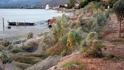 obozrevatel.com, фото - Новости Zakon.kz от 20.09.2018 09:27