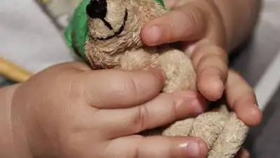 CC0, фото - Новости Zakon.kz от 10.03.2018 16:13