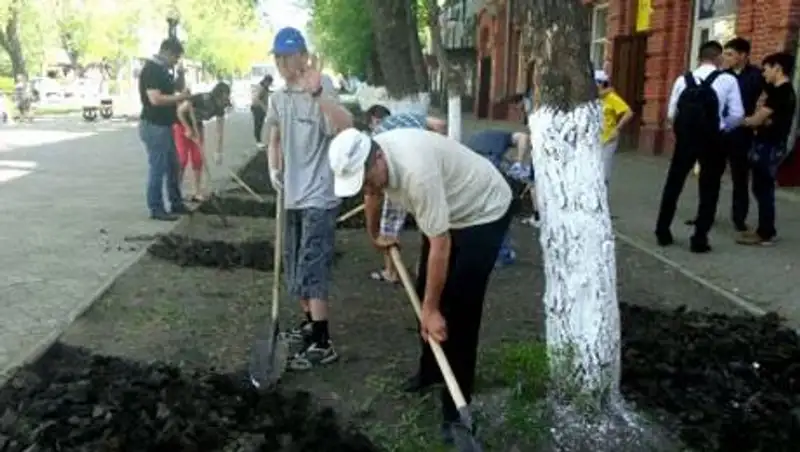 В Петропавловске выделено из местного бюджета более 7,5 млн тенге на озеленение улиц
