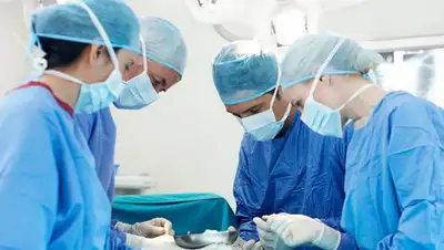 liter.kz, фото - Новости Zakon.kz от 05.04.2019 09:49