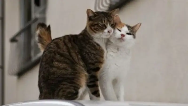 Дождливая погода сохраняется в  большинстве регионов страны