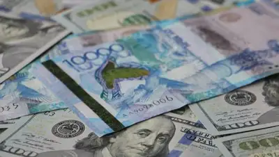 Zakon.kz, фото - Новости Zakon.kz от 07.11.2017 12:44