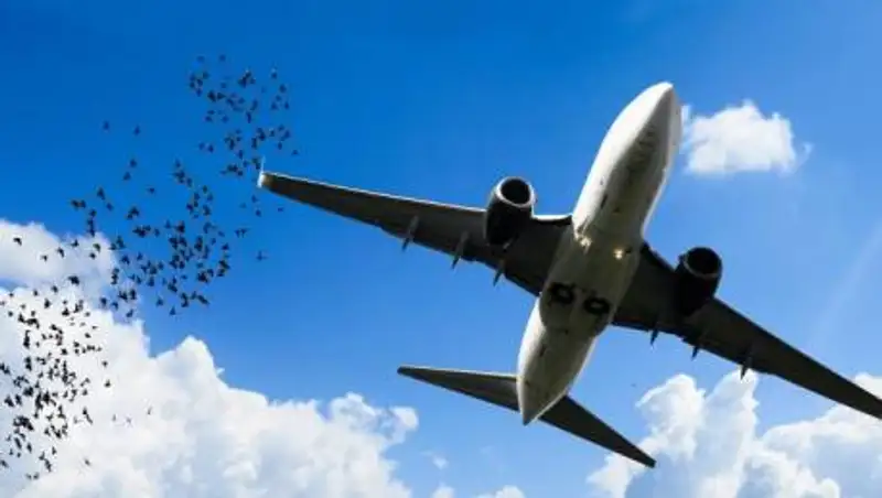 Казахстанским авиакомпаниям запретили полеты над Афганистаном