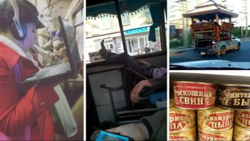 Красиво жить не запретишь