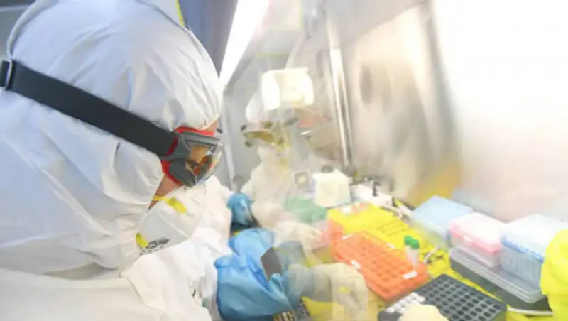 Открыт еще один путь проникновения коронавируса в организм