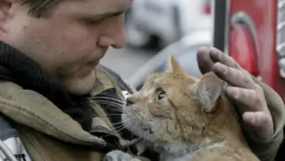 Петрозаводск ГОВОРИТ, фото - Новости Zakon.kz от 18.04.2018 22:10