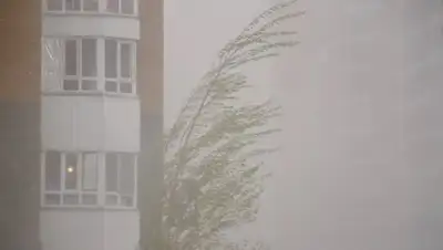 astana.gov.kz, фото - Новости Zakon.kz от 08.06.2018 11:02