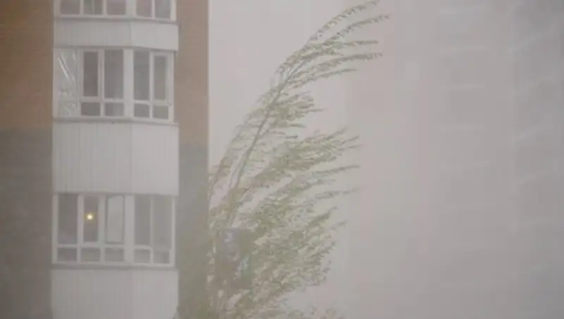 Как вести себя при пыльной буре