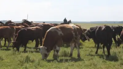 Zakon.kz, фото - Новости Zakon.kz от 23.07.2015 03:28