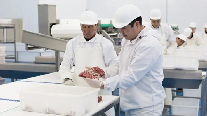 "Кублей" судится с акиматом: сотни работников завода могут лишиться работы