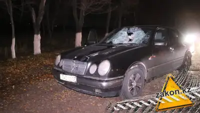 Zakon.kz., фото - Новости Zakon.kz от 06.11.2019 06:16