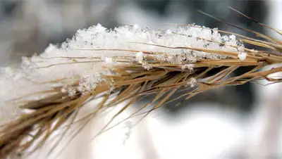 Zakon.kz, фото - Новости Zakon.kz от 27.10.2014 17:22