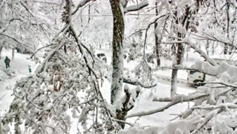 30 сантиметров снега выпало в Алматы в ночь на 30 марта