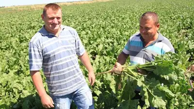 Zakon.kz, фото - Новости Zakon.kz от 10.07.2017 17:04