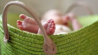 Новости-Грузия, фото - Новости Zakon.kz от 29.07.2018 16:24