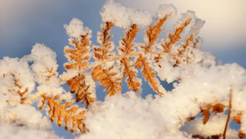 Теплая погода ожидает казахстанцев