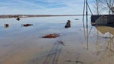 Штормовое предупреждение объявили в четырех регионах , фото - Новости Zakon.kz от 23.03.2023 03:49