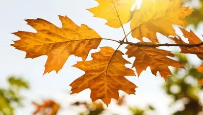 Discover Greece, фото - Новости Zakon.kz от 29.09.2018 09:30