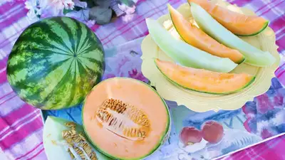 Эксперты объяснили, как выбрать вкусные , фото - Новости Zakon.kz от 09.07.2023 15:27