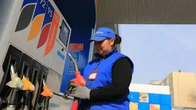 zakon.kz / Павел Михеев, фото - Новости Zakon.kz от 12.10.2021 15:36