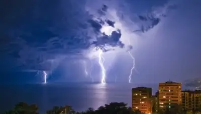 Zakon.kz, фото - Новости Zakon.kz от 07.07.2017 12:00