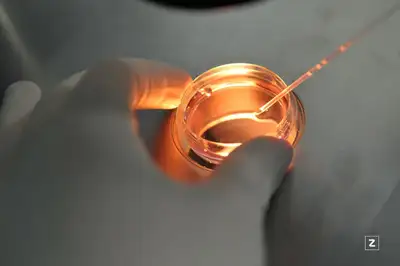 исследование, инфекции, врач, фото - Новости Zakon.kz от 23.12.2021 11:13