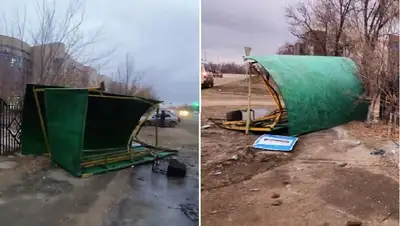 актобе, остановка, наезд, автоледи, фото - Новости Zakon.kz от 03.12.2021 16:08